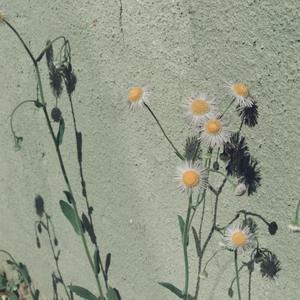 寡妇做爰过程口述
